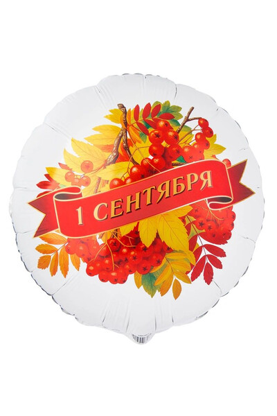Шар 1 сентября рябина 45 см (18